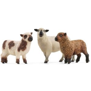 Set ovaca