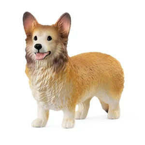 Pas Corgi