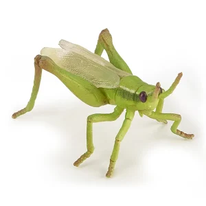 Skakavac