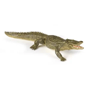 Aligator