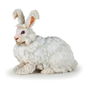 Zec angora