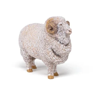 Merino ovca