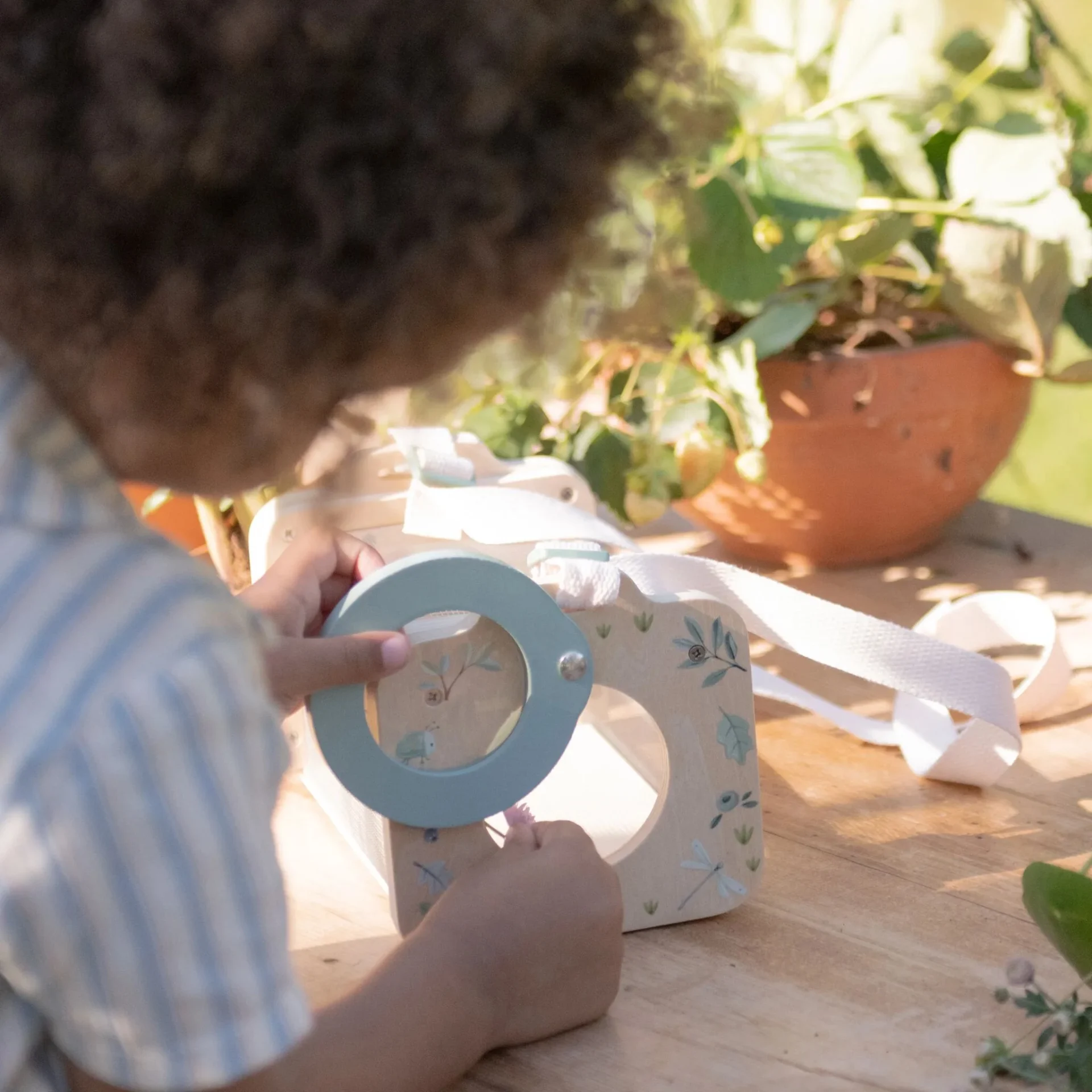 Kutija za insekte - Zelena - Image 4