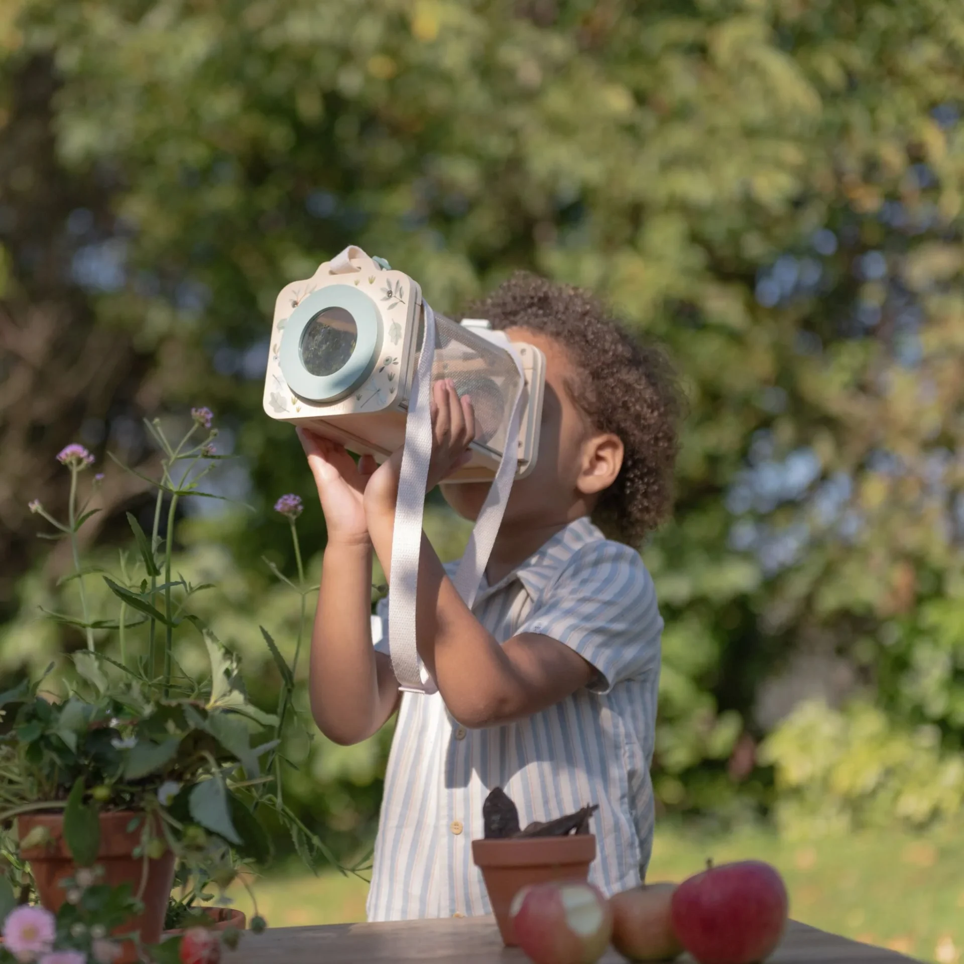 Kutija za insekte - Zelena - Image 3