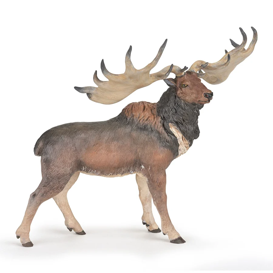 Megaloceros