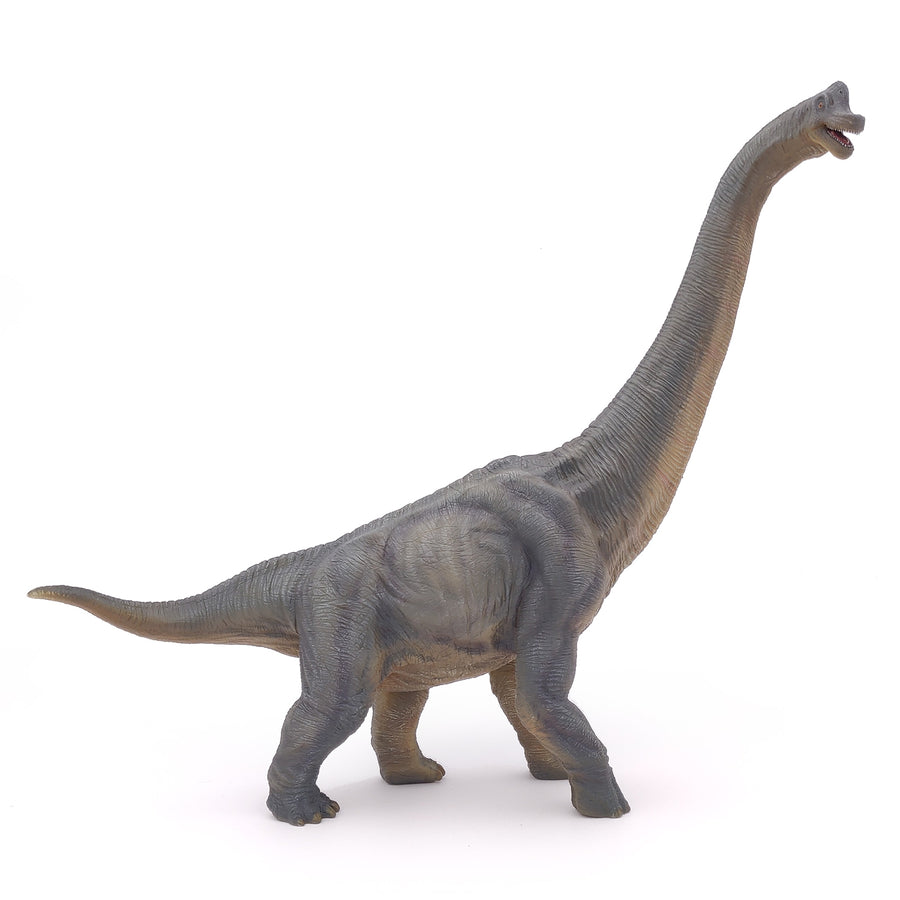 Brahiosaurus