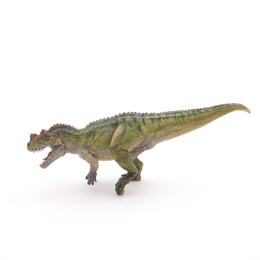 Ceratosaurus